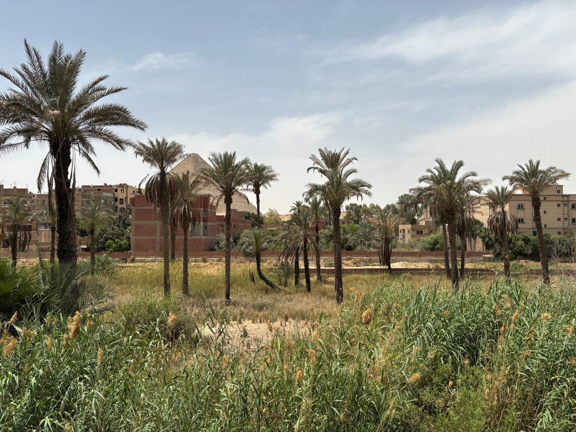 Master Pyramids Hotel Al Kawm al Akhdar Eksteriør bilde
